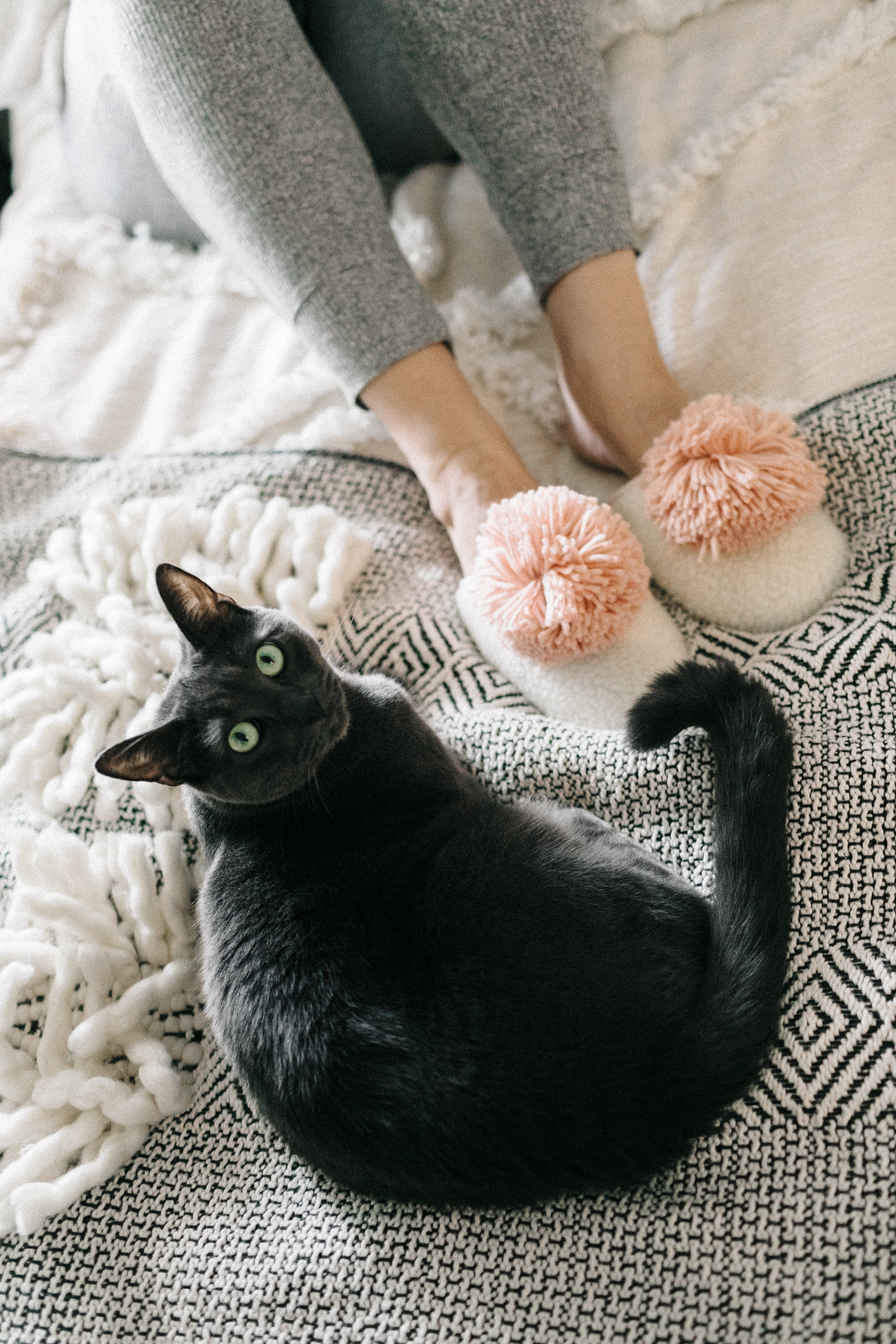 BLOGGER’S PICK’S: Pom-tastic
