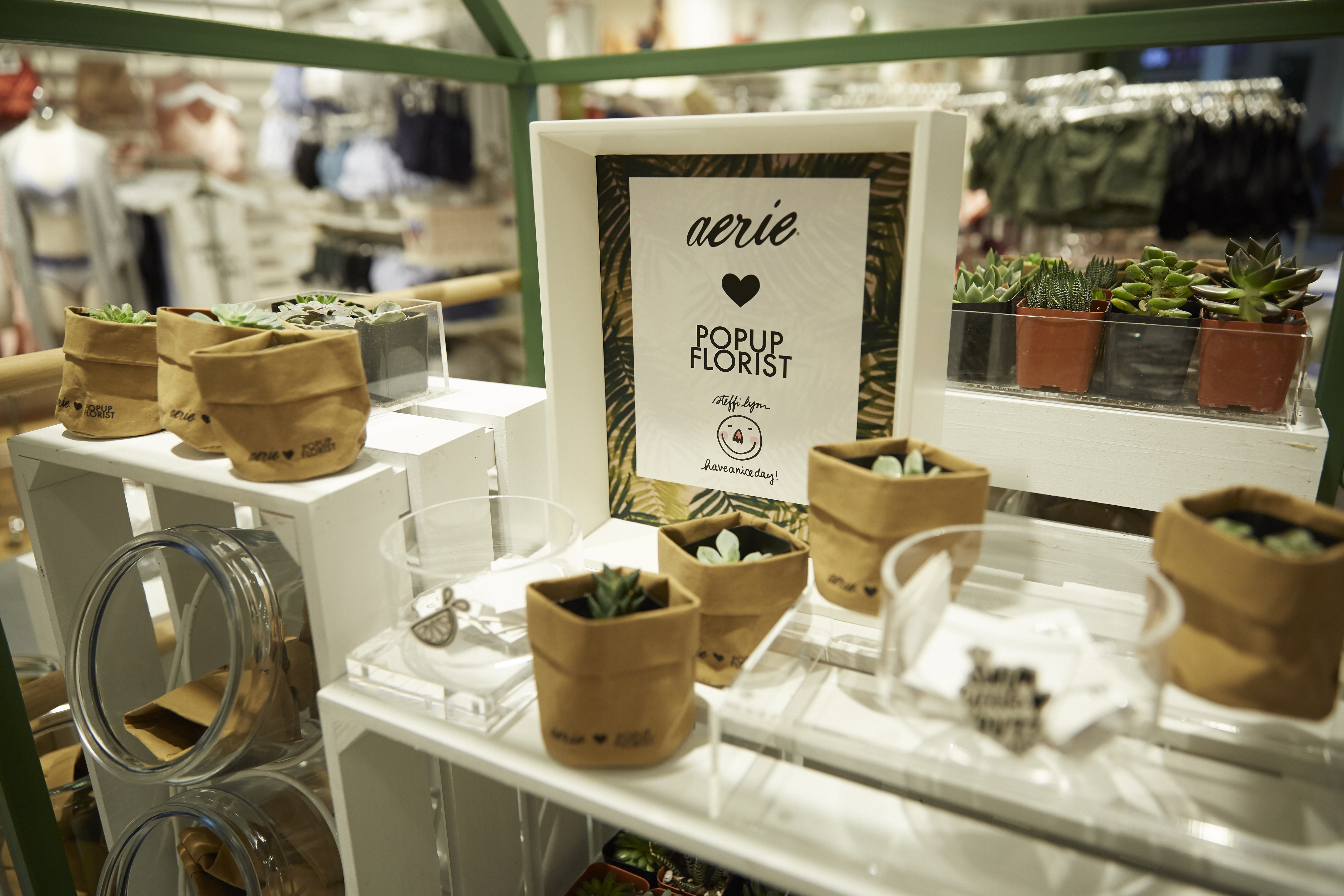 Introducing... An All-New Aerie Store Design!