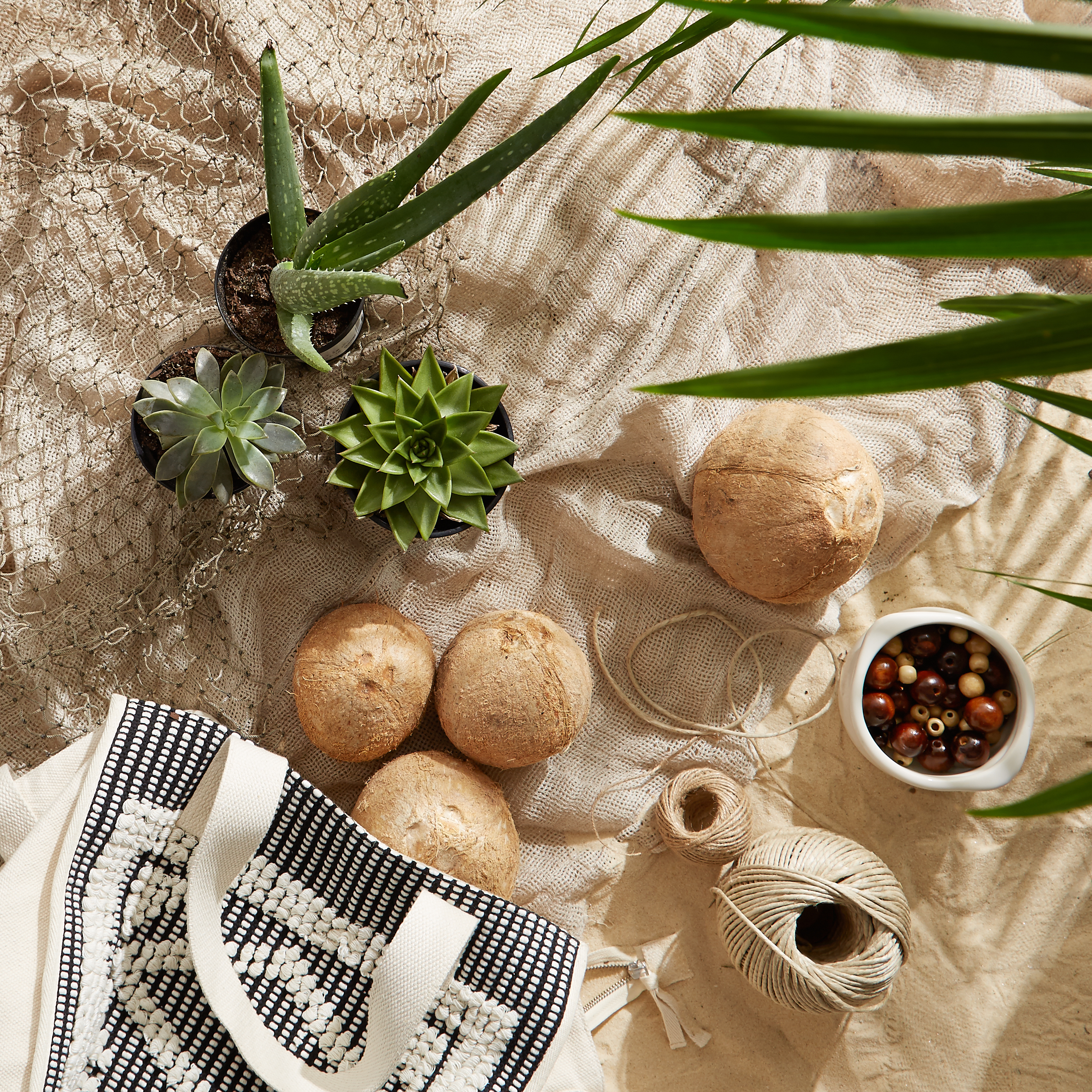 DIY Hanging Coconut Planter