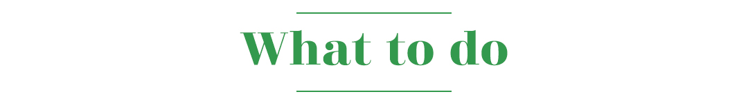what_to_do