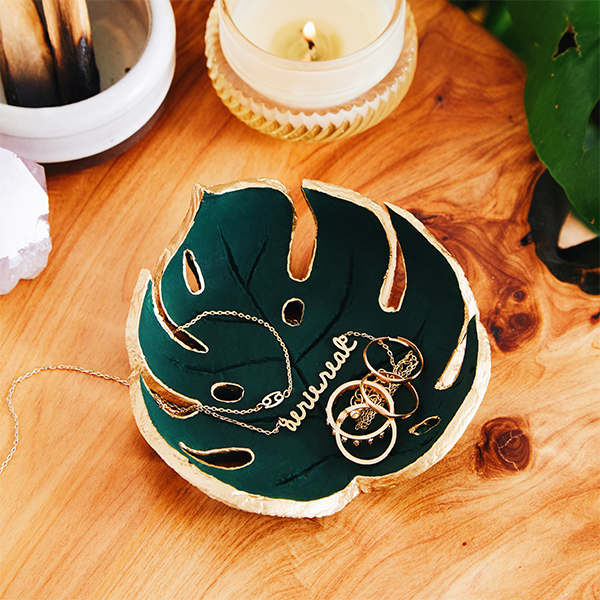 Monstera dish DIY