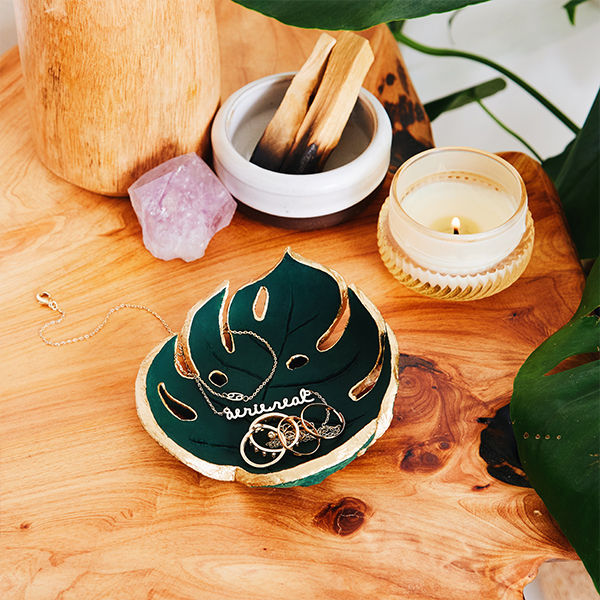 Monstera dish DIY