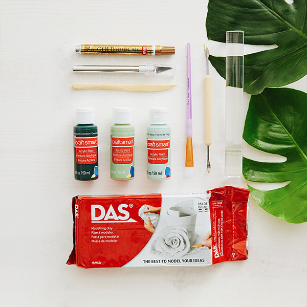 Monstera dish DIY