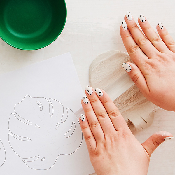 Monstera dish DIY